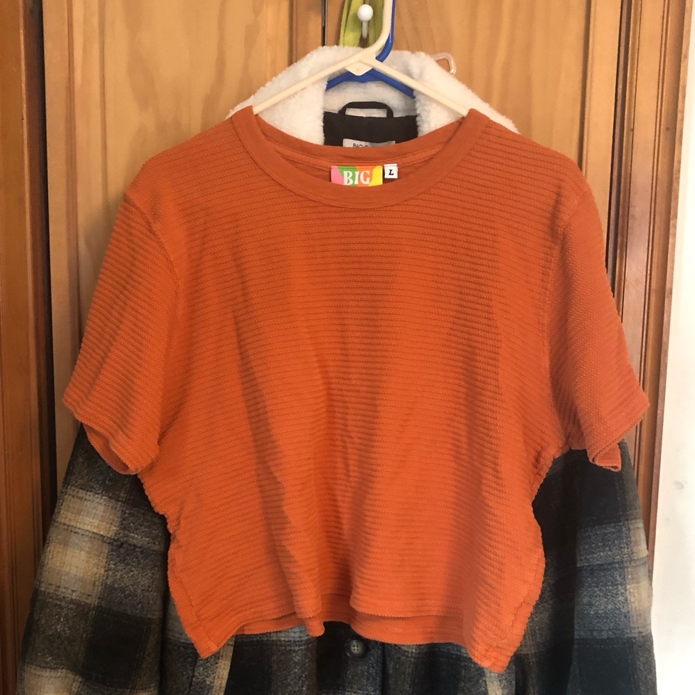 Big Bud Press Cropped Honeycomb Tee